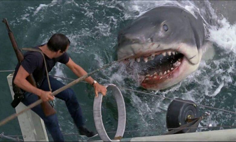 ‘Jaws’ at 50: Still has bite