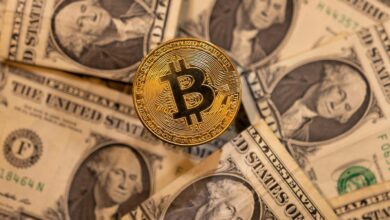 How Trump's crypto venture and Iran's top exchange tapped into the same industry networks