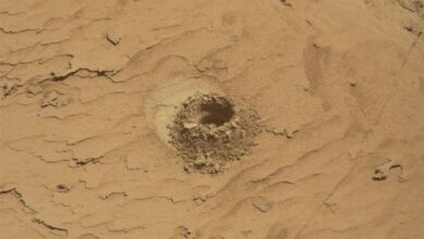Curiosity Blog, Sols 4900-4907: Pasadena, We Have a Drill Sample!