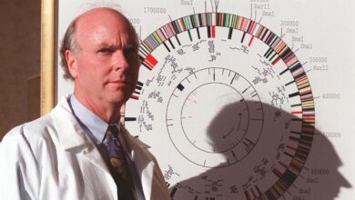 J. Craig Venter, who won the race to sequence the human genome, dies at 79