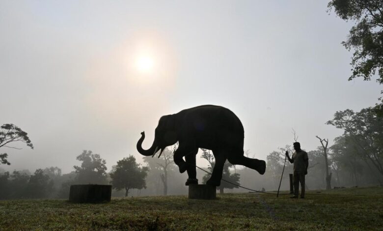 Summer Activities in Coimbatore: Trek, swim, or learn martial arts
