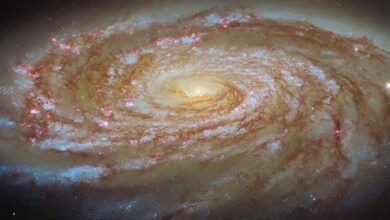 Journey to the Center of the Virgo Cluster