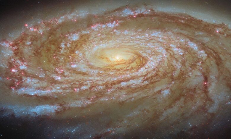 Journey to the Center of the Virgo Cluster