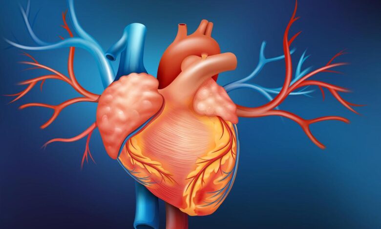 Of tension, training & team work: what it took to navigate the trickiest bend in the heart