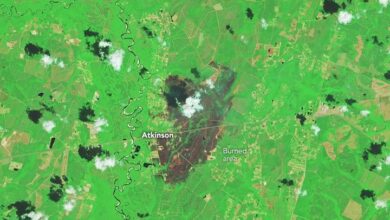 Fires Rage in Georgia