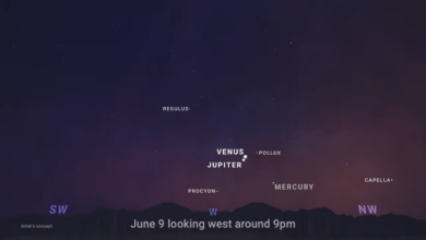What’s Up: June 2026 Skywatching Tips from NASA
